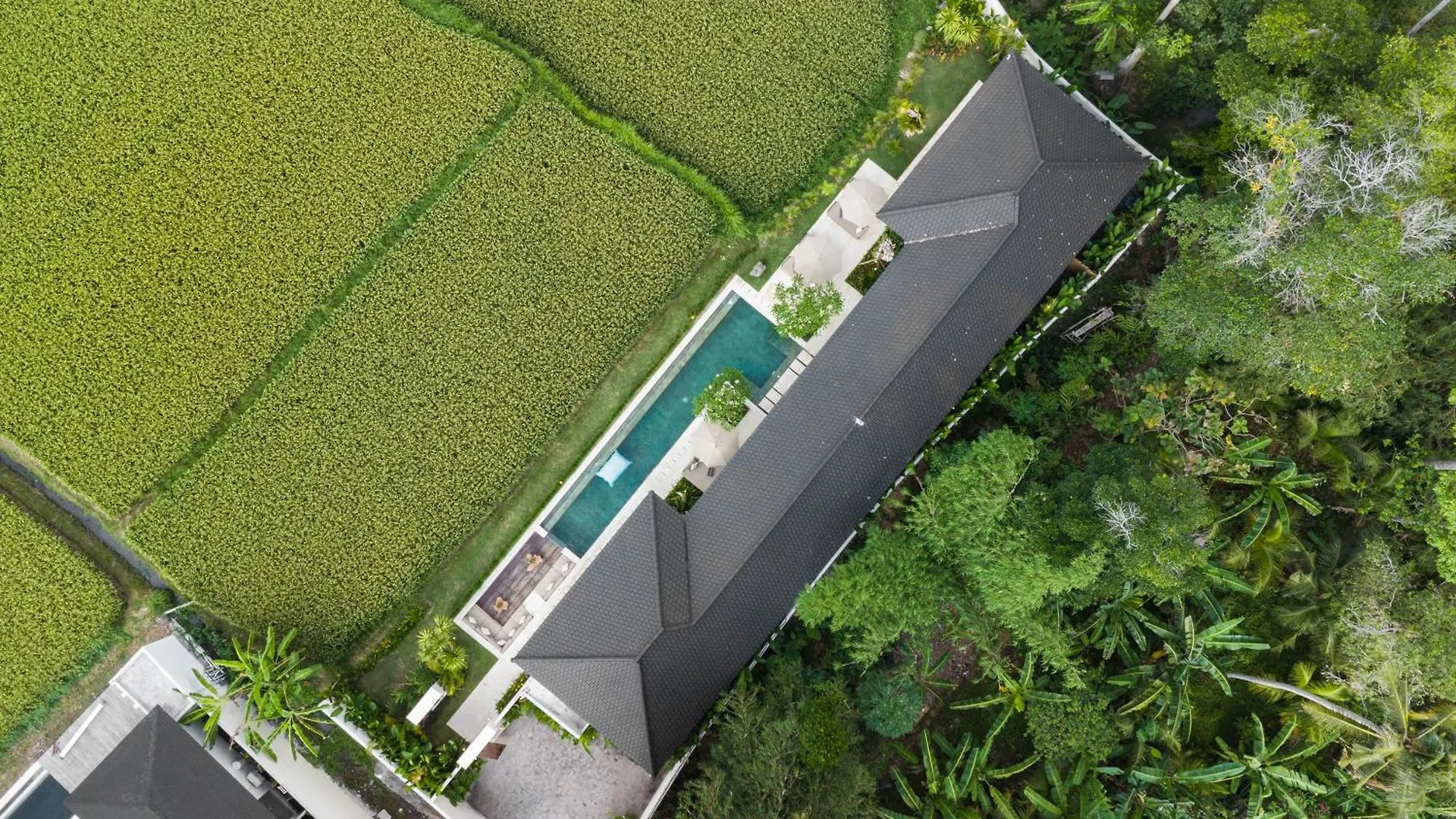 Villa Swannelli By Balisuperhost Ubud  0*, Ubud (Bali)
